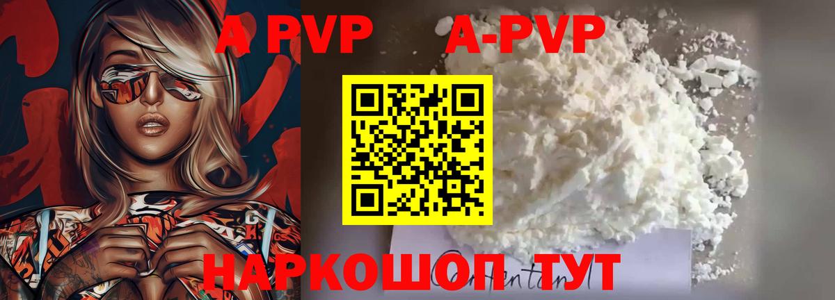 A PVP СК КРИС Нальчик