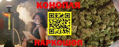 шишки Татарск