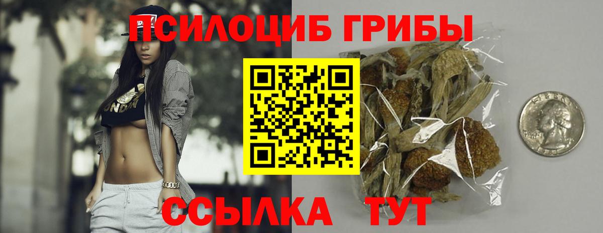 Галлюциногенные грибы мицелий  Галлюциногенные грибы прущие грибы  Вход с VPN  Нальчик 